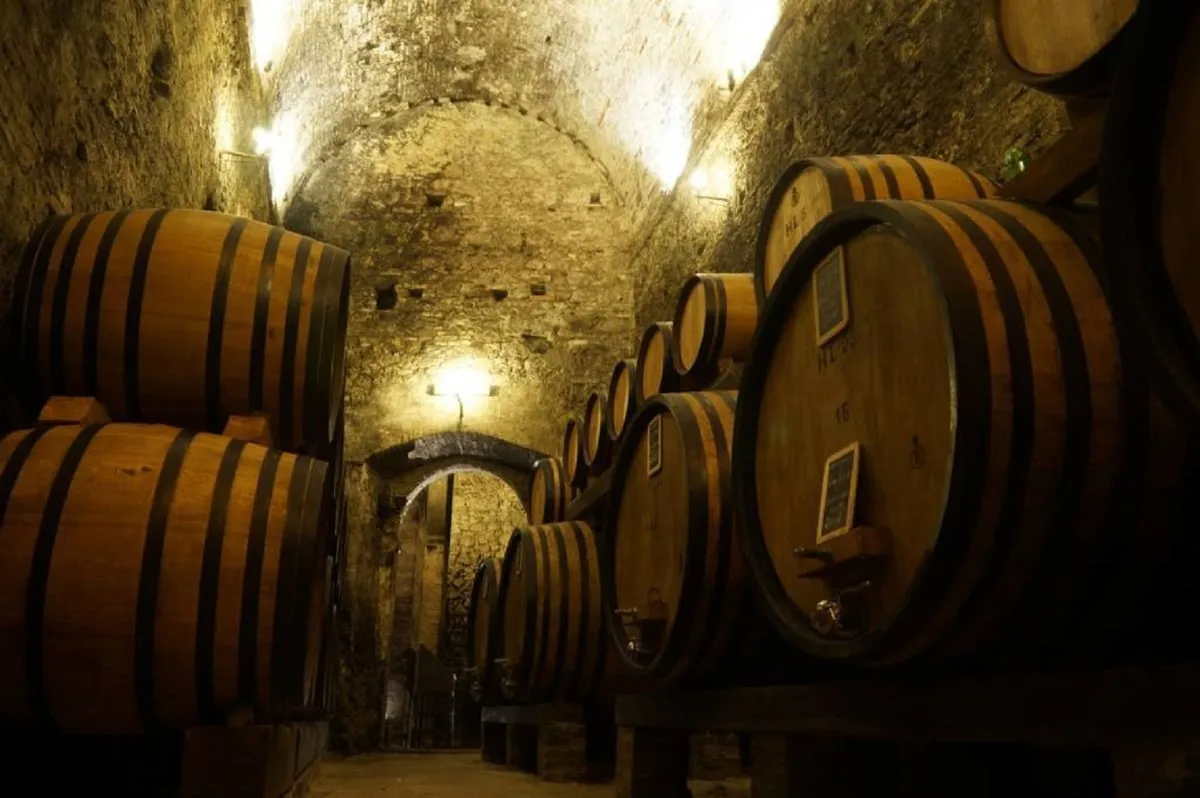 Barrel-lined wine cellar during a montepulciano wine tasting and cellar tour in Montepulciano, Tuscany