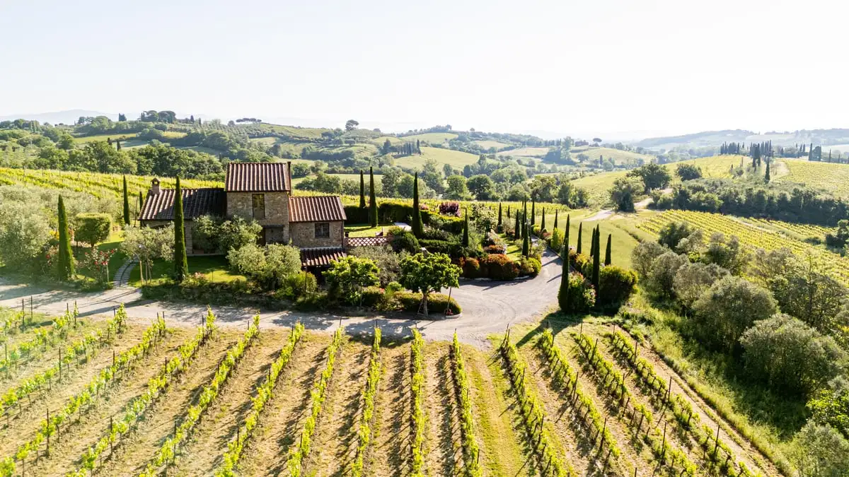 Family-run vineyard visited on a montepulciano wine tours experience in Montepulciano, Tuscany